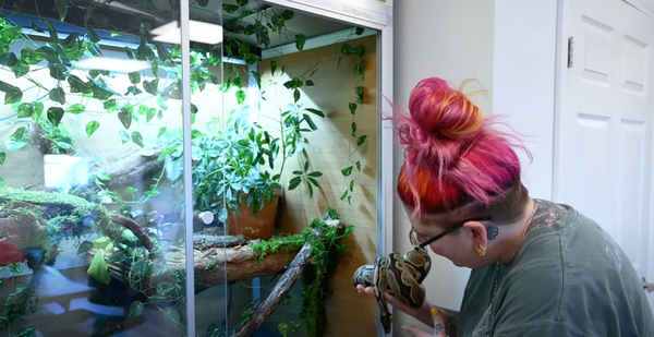 Creating A Large, Enriching Ball Python Enclosure!
