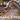 Gifts for Snake Keepers