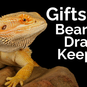 Gifts for Bearded Dragon Keepers