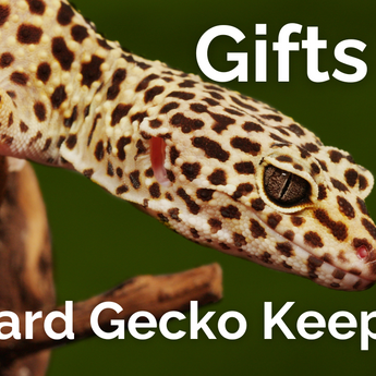 Gifts for Leopard Gecko Keepers
