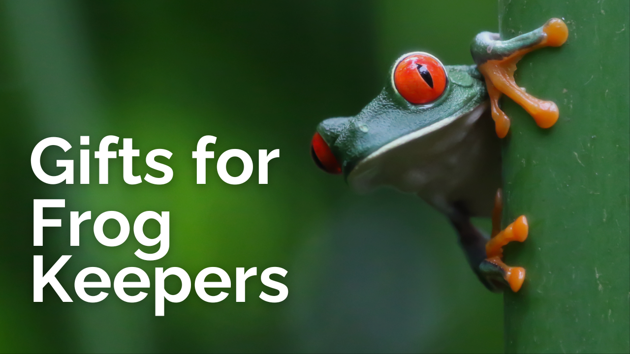 Gifts for Frog Keepers