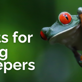 Gifts for Frog Keepers