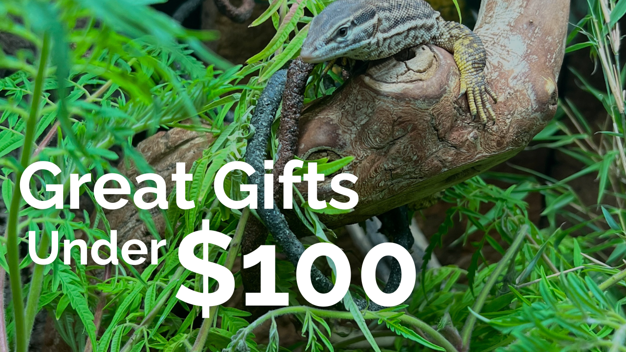 Great Gifts Under $100
