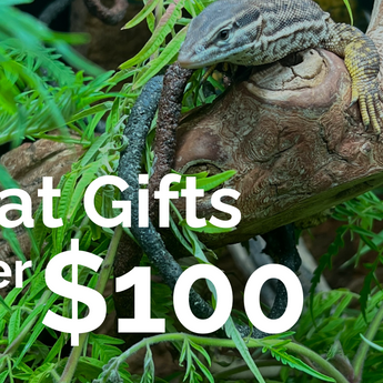 Great Gifts Under $100