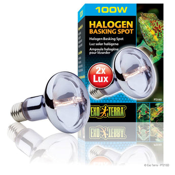 Lighting, Heating, & Humidity