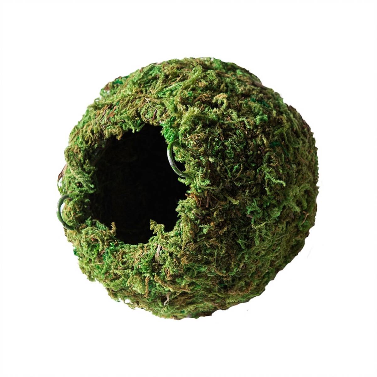 Galapagos Woven Moss Cave (Green, 4in)