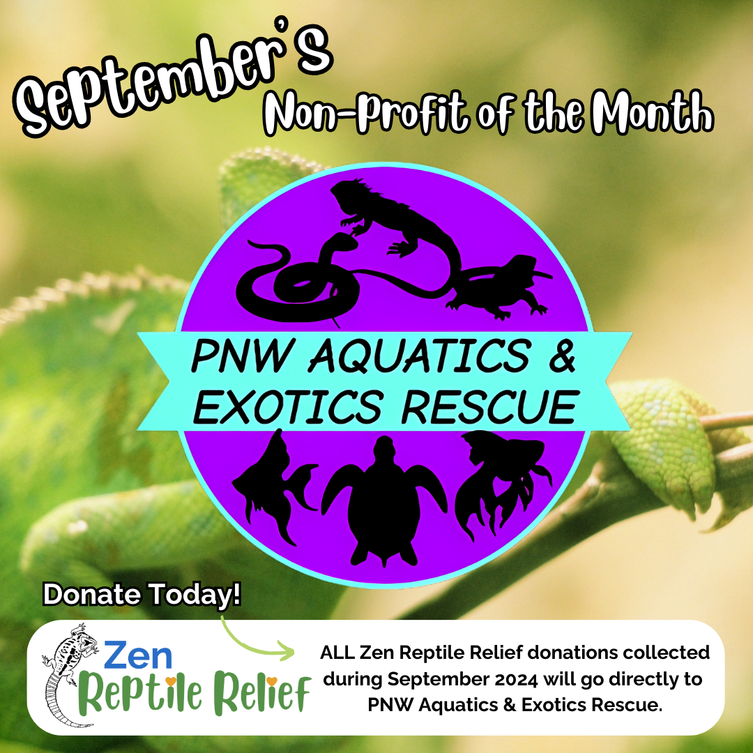 Support Zen Reptile Relief – Zen Habitats