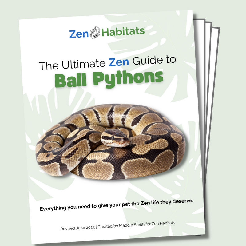 The Ultimate Zen Guide to Ball Pythons - Revised August 2024