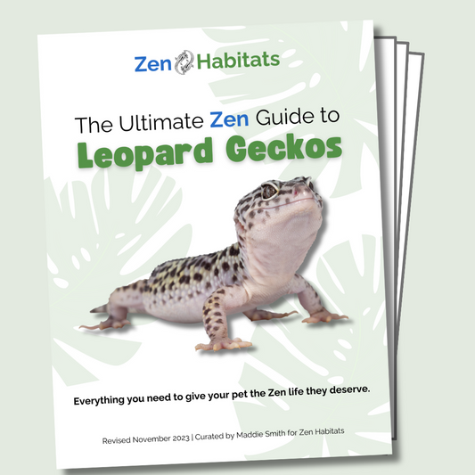 Ultimate Zen Guides – Zen Habitats
