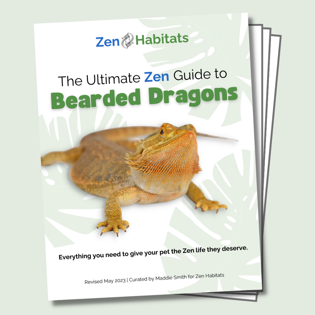 The Ultimate Zen Guide to Bearded Dragons - Revised August 2024