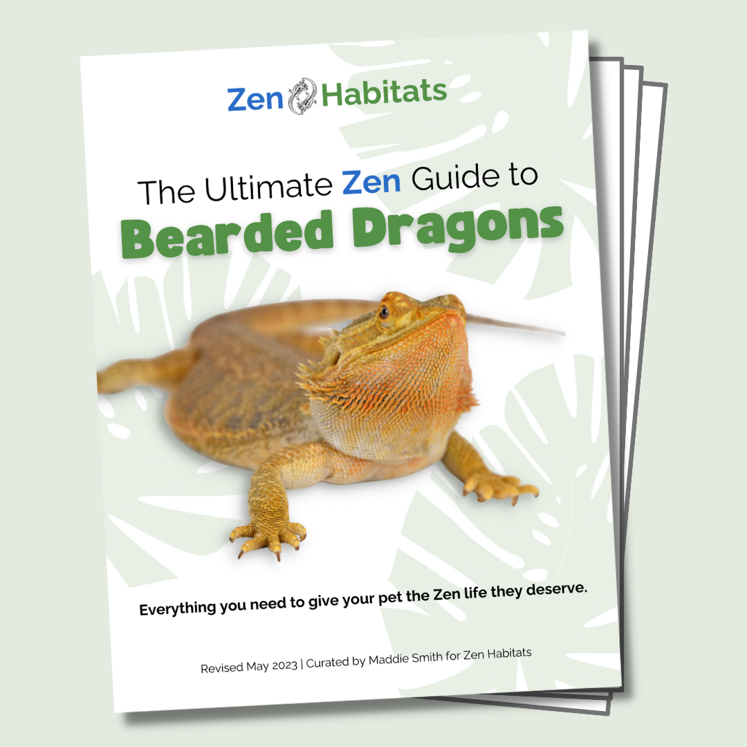 The Ultimate Zen Guide to Bearded Dragons