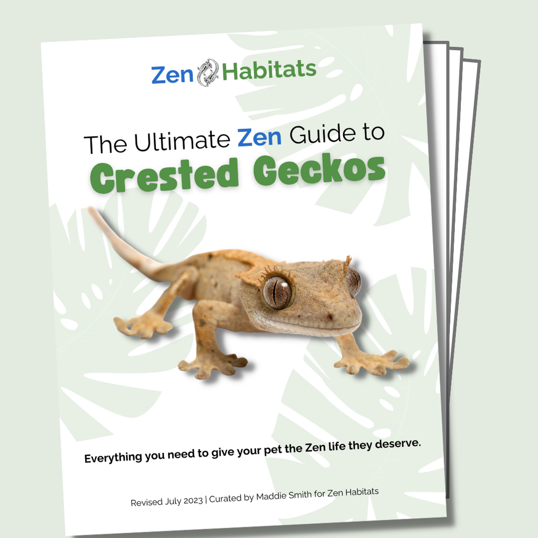 The Ultimate Zen Guide to Crested Geckos - Revised August 2024