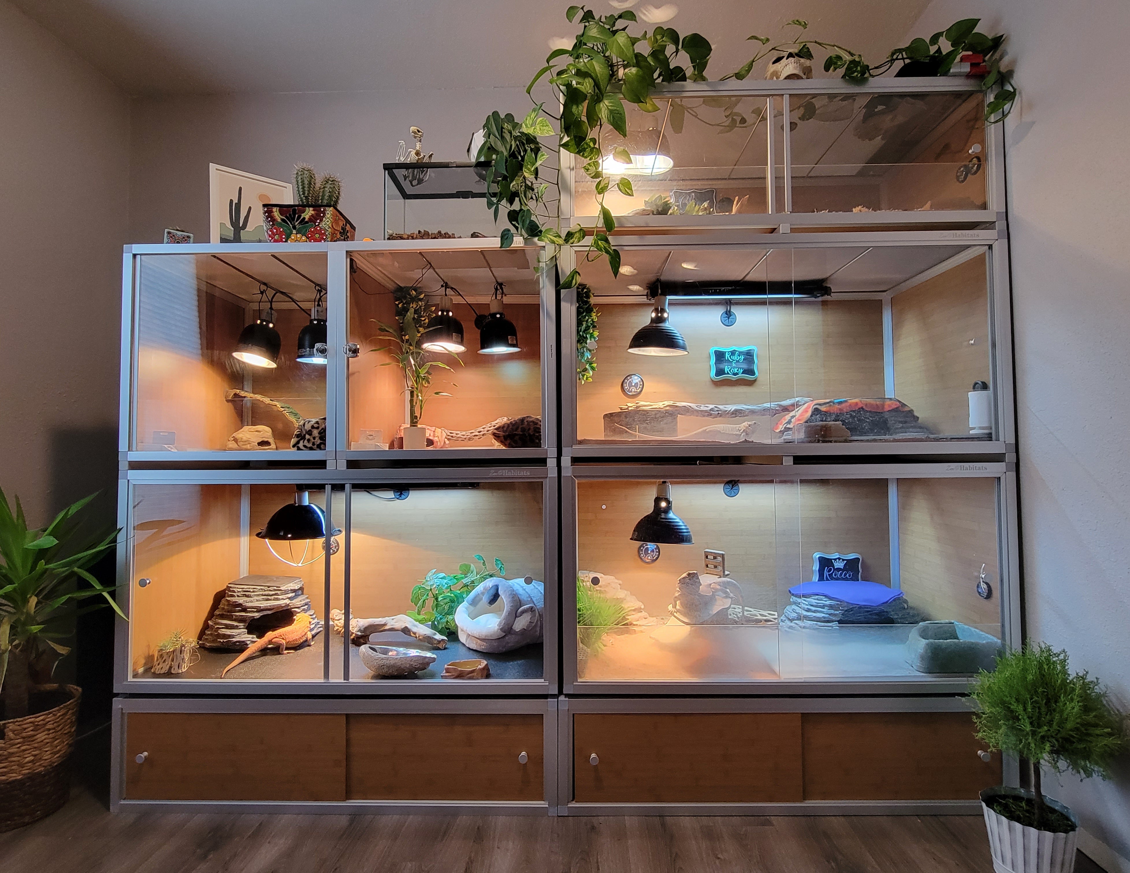 Zen Habitats reptile enclosure stack
