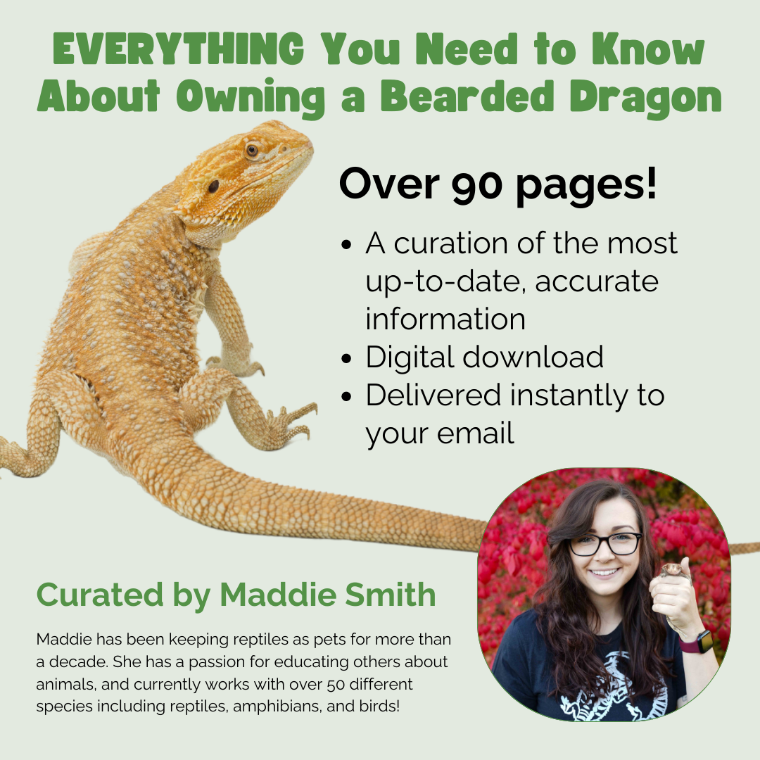 The Ultimate Zen Guide to Bearded Dragons