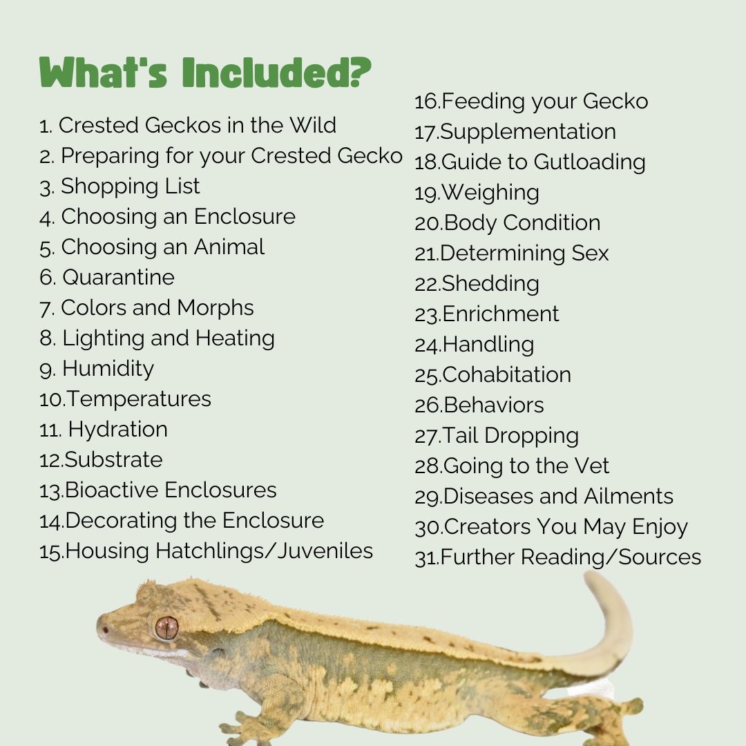 The Ultimate Zen Guide to Crested Geckos
