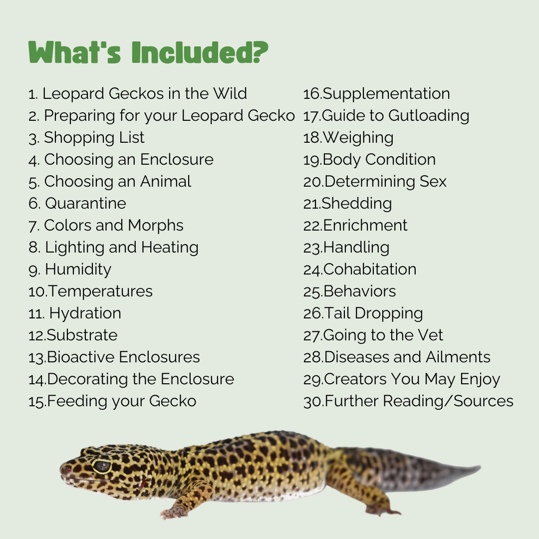Leopard Gecko Information.pdf The Ultimate Zen Guide to Leopard Geckos – Zen Habitats