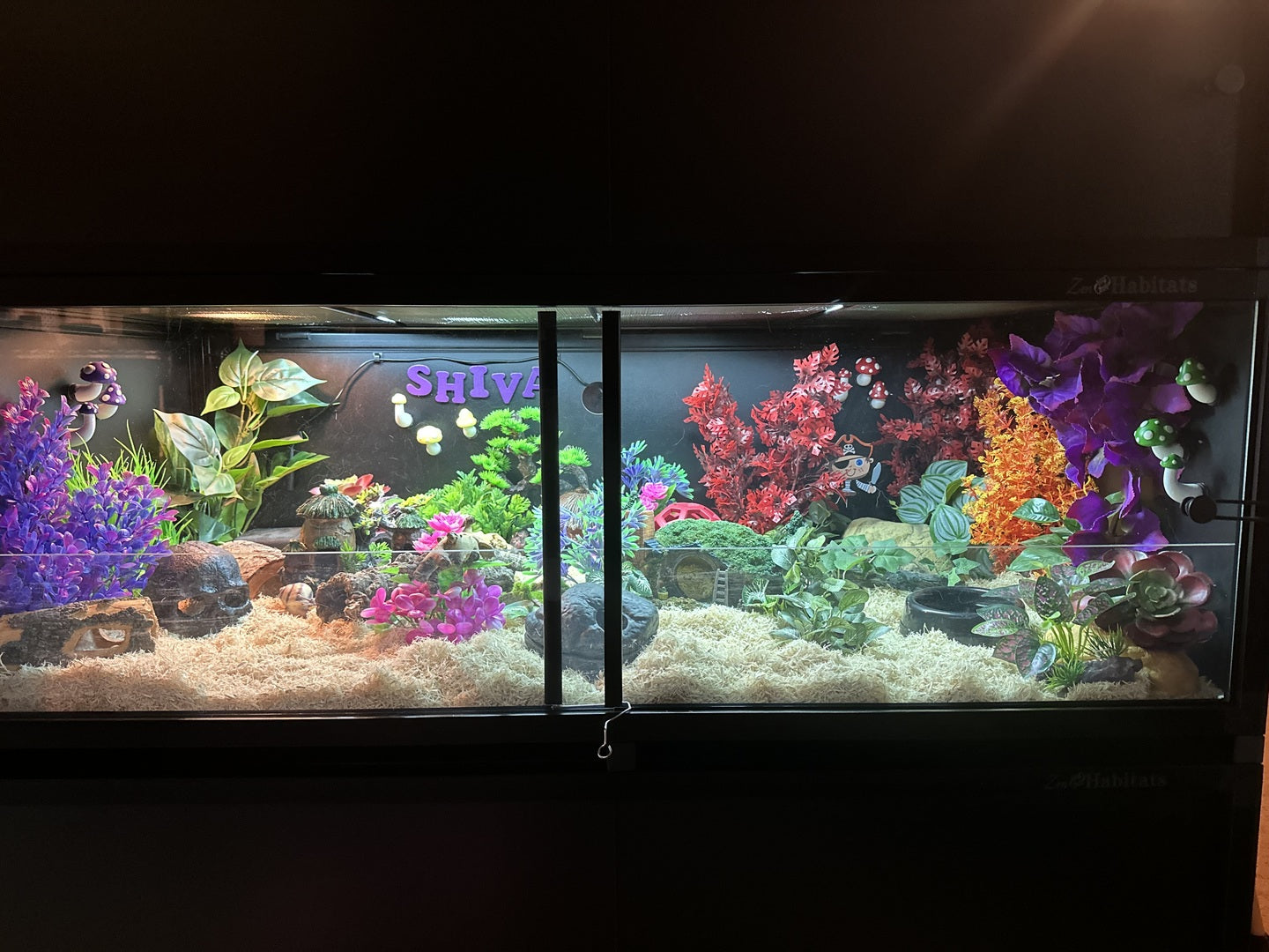 Zen Habitats 48x24x16 reptile enclosure