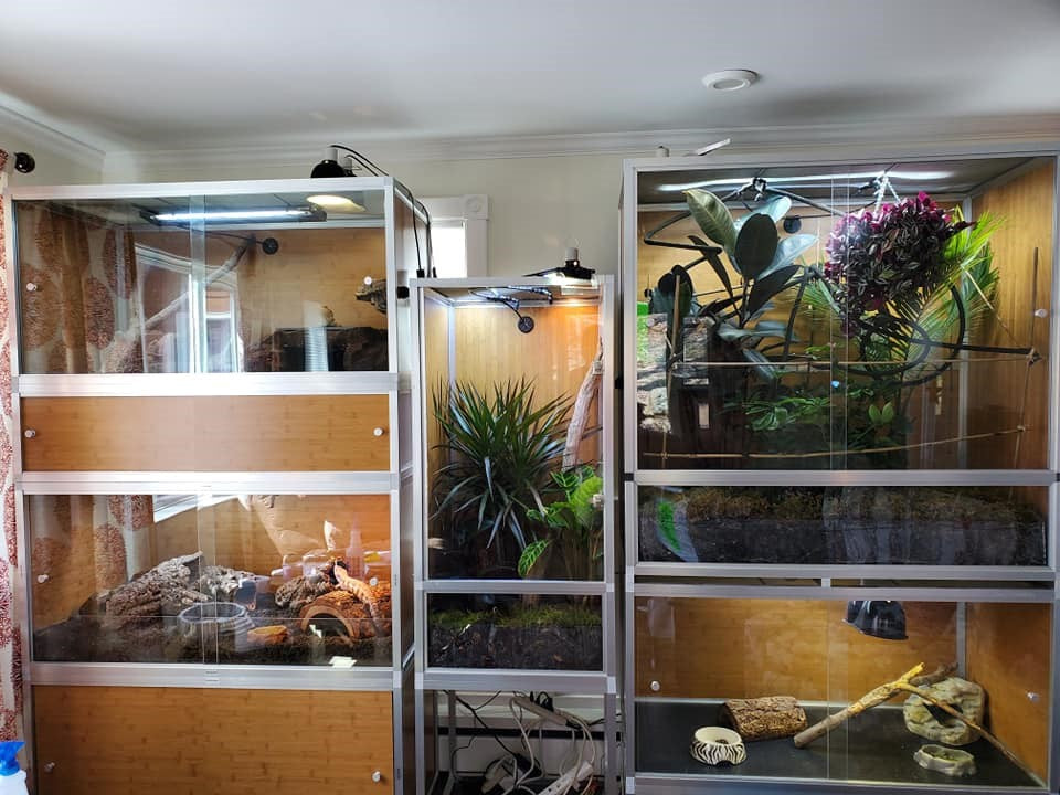 Multiple Zen Habitats 4x2x2, 4x2x4, and 2x2x4 reptile enclosures