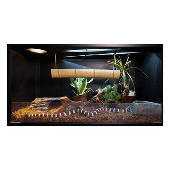 4x2x2 King Snake Enclosure – Black Finish by Zen Habitats (120-Gallon Equivalent PVC or Wood Reptile Tank)