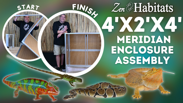 Zen Habitats 4x2x4 Meridian reptile enclosure, perfect for chameleons, chinese water dragons, ball pythons, and bearded dragons