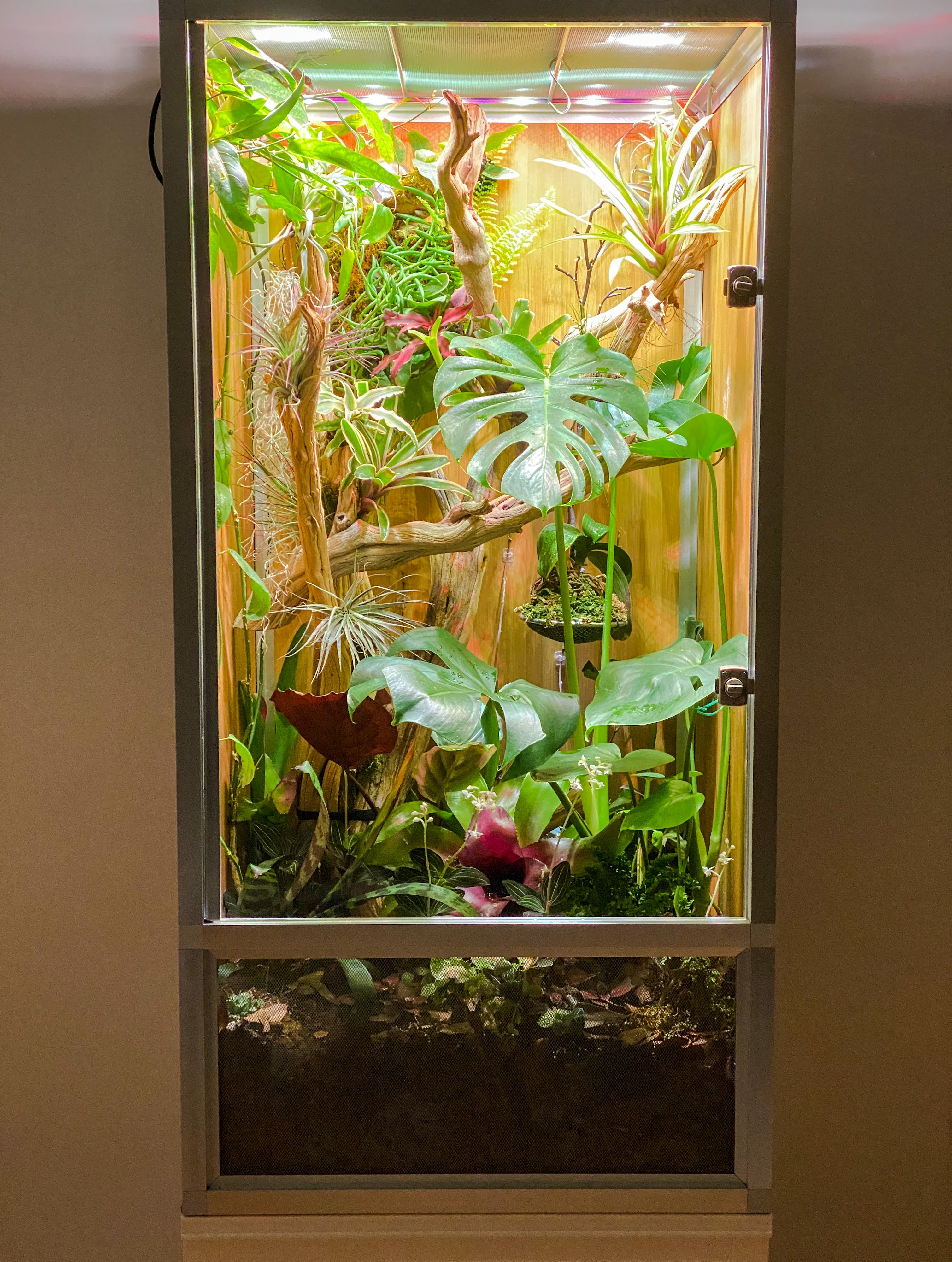 Zen Habitats 2x2x4 reptile enclosure