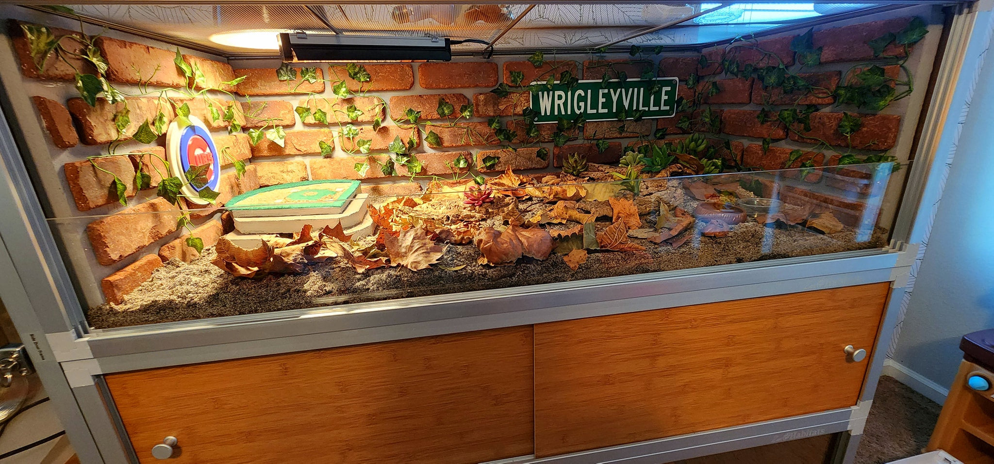 Zen Habitats 48x24x16 reptile enclosure