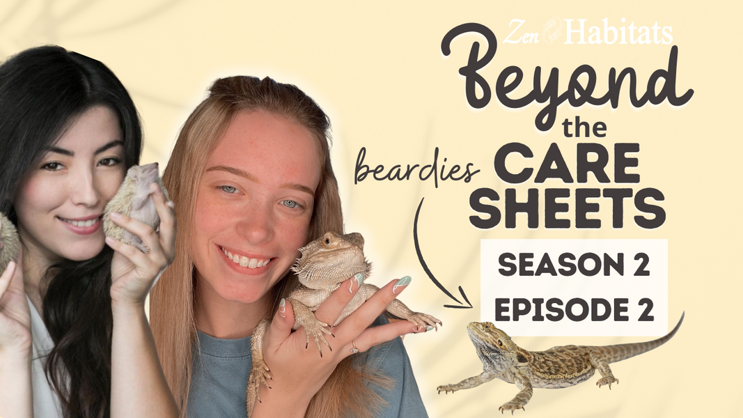 Beyond The Care Sheets with Kam's Reptiles & Emzotic  Bearded Dragon Care  S2E2
