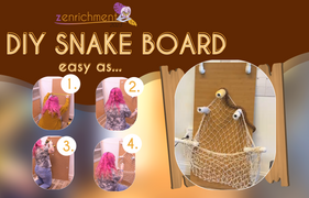 Easy DIY Reptile Enclosure Enrichment For Snakes