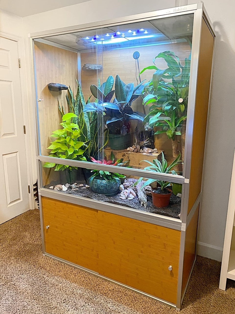 Lizard enclosure for sale hotsell