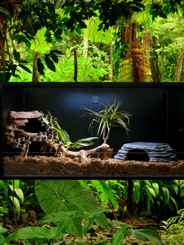 Zen Habitats Black Reptile Enclosure