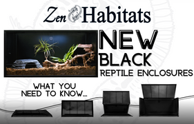 Featuring Our Brand New Zen Habitats Black Reptile Enclosures The Perfect Reptile Enclosure - Now In Black