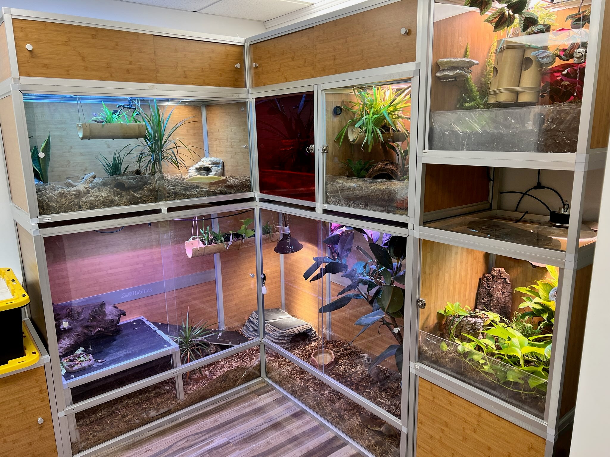 Zen Habitats reptile enclosure stack
