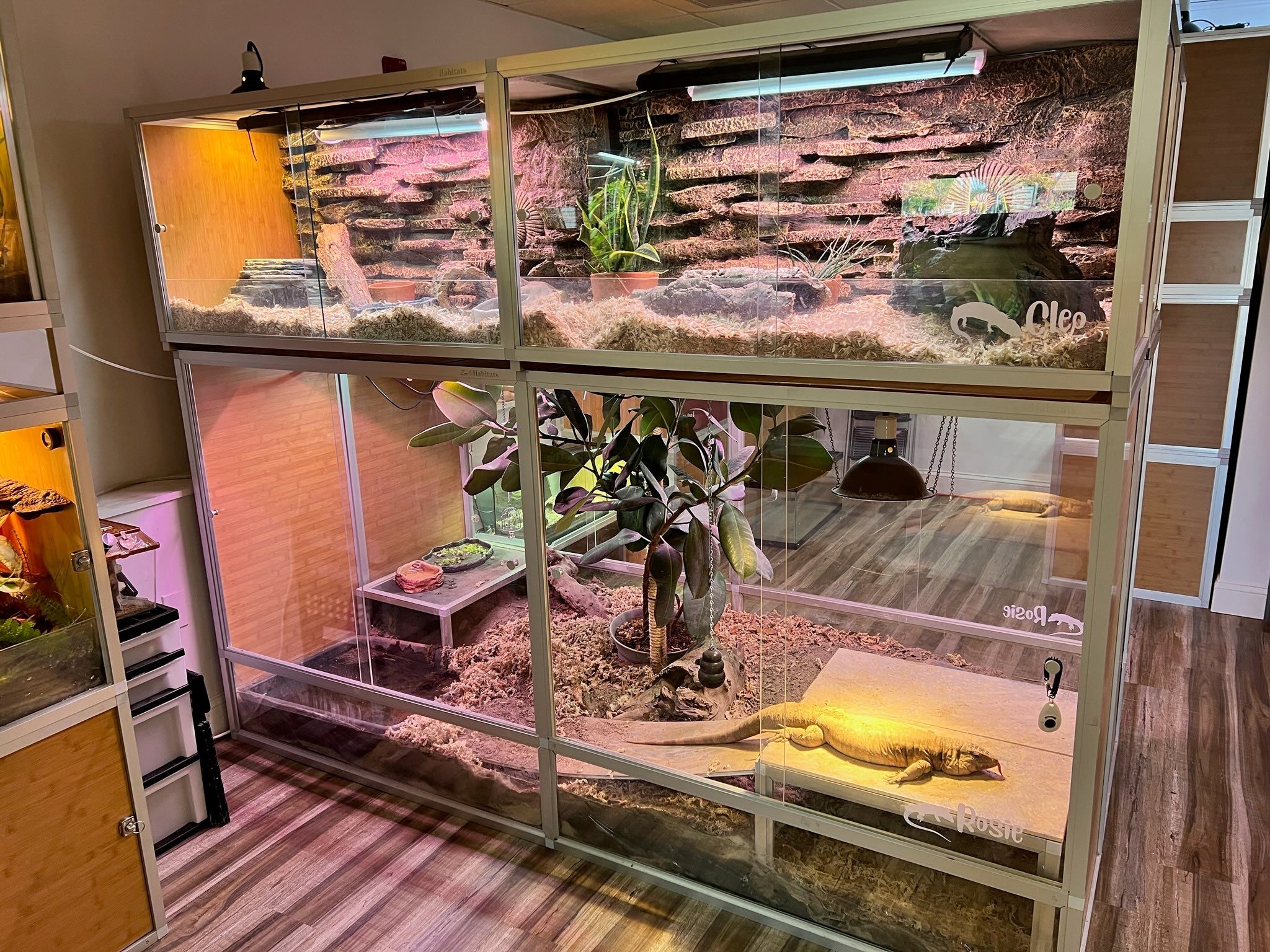 Zen Habitats reptile enclosure stack