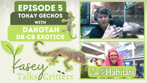 kasey talks critters a zen habitats original series from the zen exotic zoo podcast. Episode 5 with Dakotah of DBCB exotics featuring Tokay Geckos