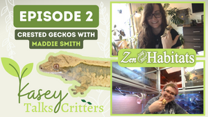 Kasey Talks Critters Episode 2 - crested geckos with Maddie Smith