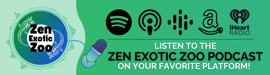 Listen to the Zen exotic Zoo Podcast on your favorite platform! The Zen Exotic Zoo Podcast is avaible on Spotify, Apple Podcasts, Google Podcasts, Amazon Music, and iHeart Radio