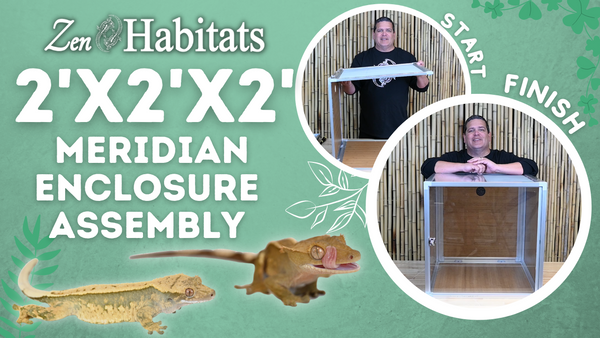 Zen Habitats 2x2x2 Meridian Enclosure Assembly guide, perfect for small lizards and reptiles such as leopard geckos and crested geckos