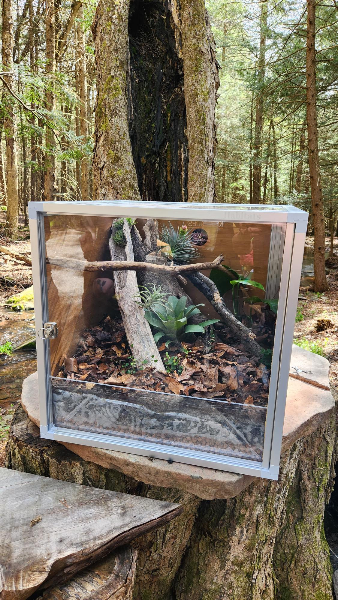 Zen Habitats 2x2x2 reptile enclosure