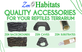 Quality Accessories For Your Reptiles Terrarium | Zen Habitats Zen Habitats Offers More Than Reptile Enclosures