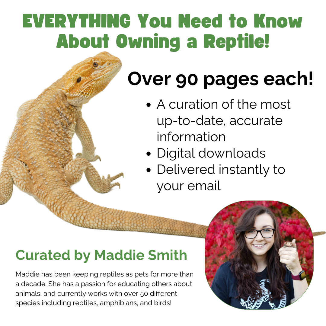 The Ultimate Zen Guide Bundle: Bearded Dragon, Ball Python, Crested Gecko, Leopard Gecko & Corn Snake