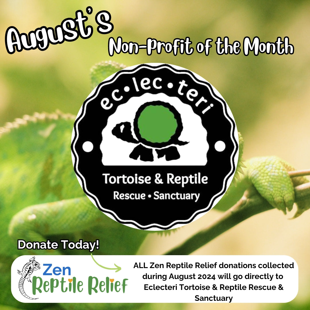 Support Zen Reptile Relief – Zen Habitats - Highly Hesitant Muncher Support Reptile
