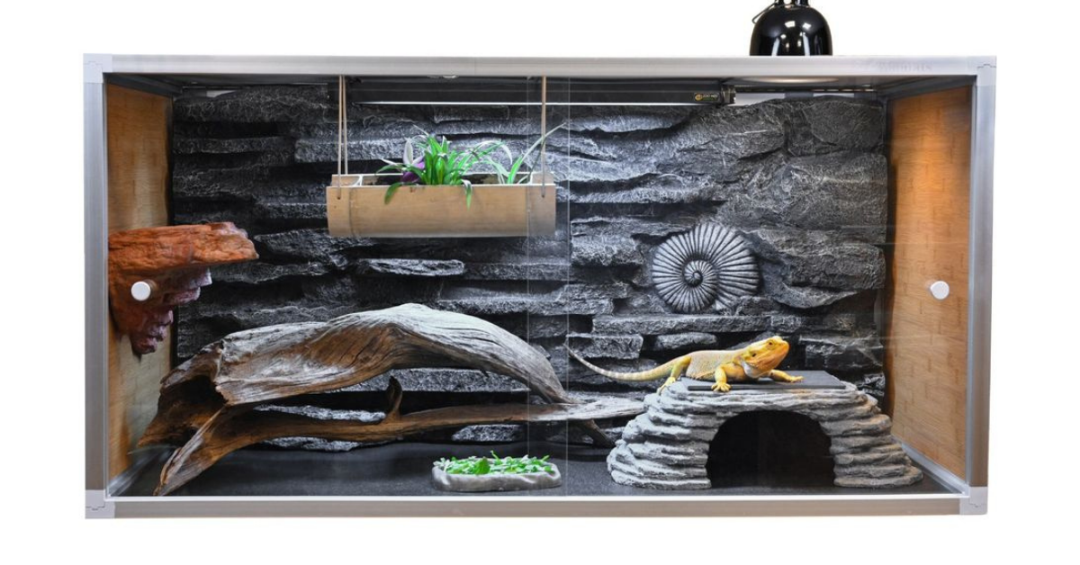 Ball Python - Naturalistic Habitat - Zen's Reptile Habitat Builder ...