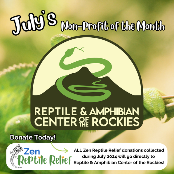 View of Support Zen Reptile Relief – Zen Habitats