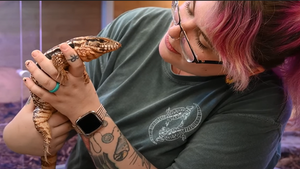 Zen Habitats animal care manager with a blue tongued skink