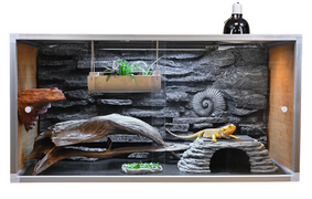 New Meridian 4x2x2 PVC or Wood enclosure by Zen Habitats