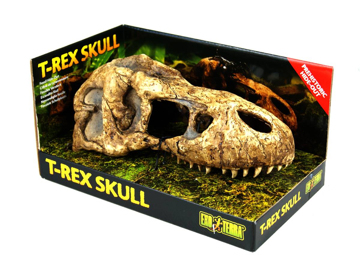 Exo Terra T-Rex Skull