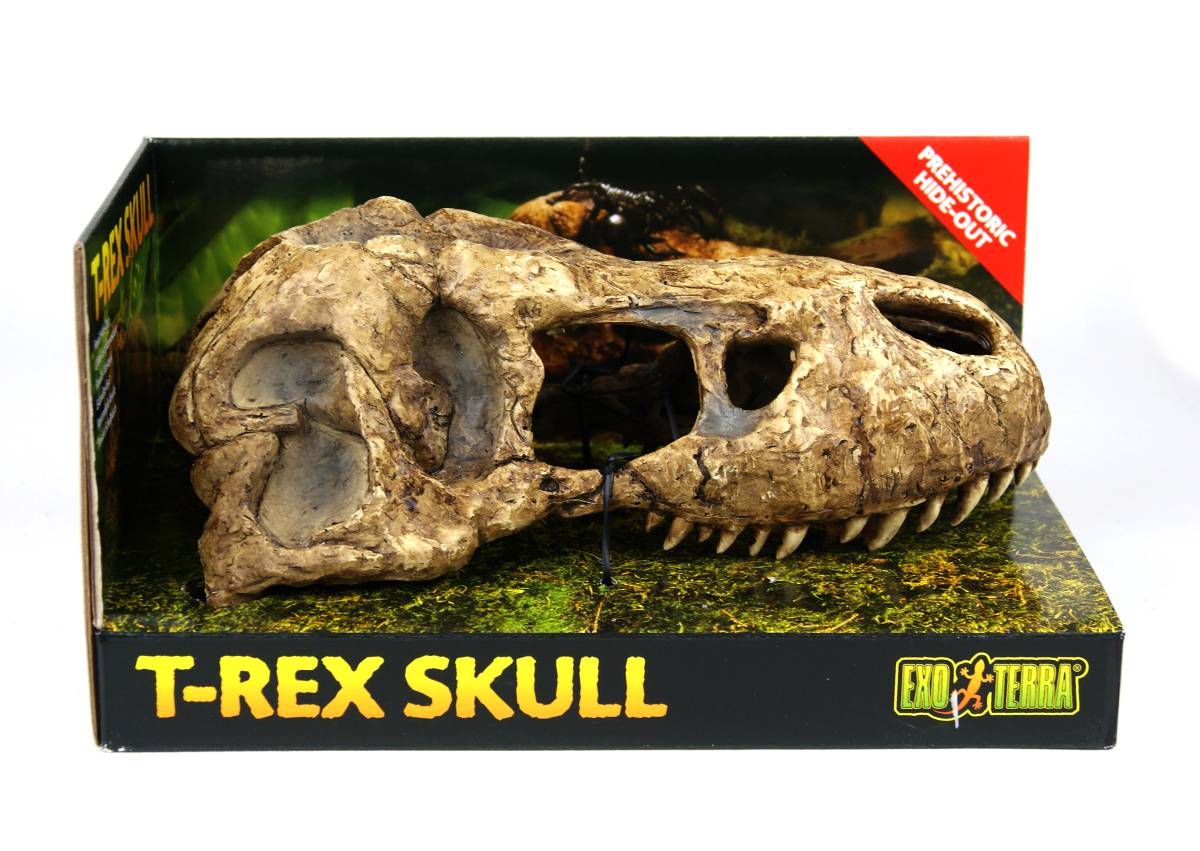 Exo Terra T-Rex Skull