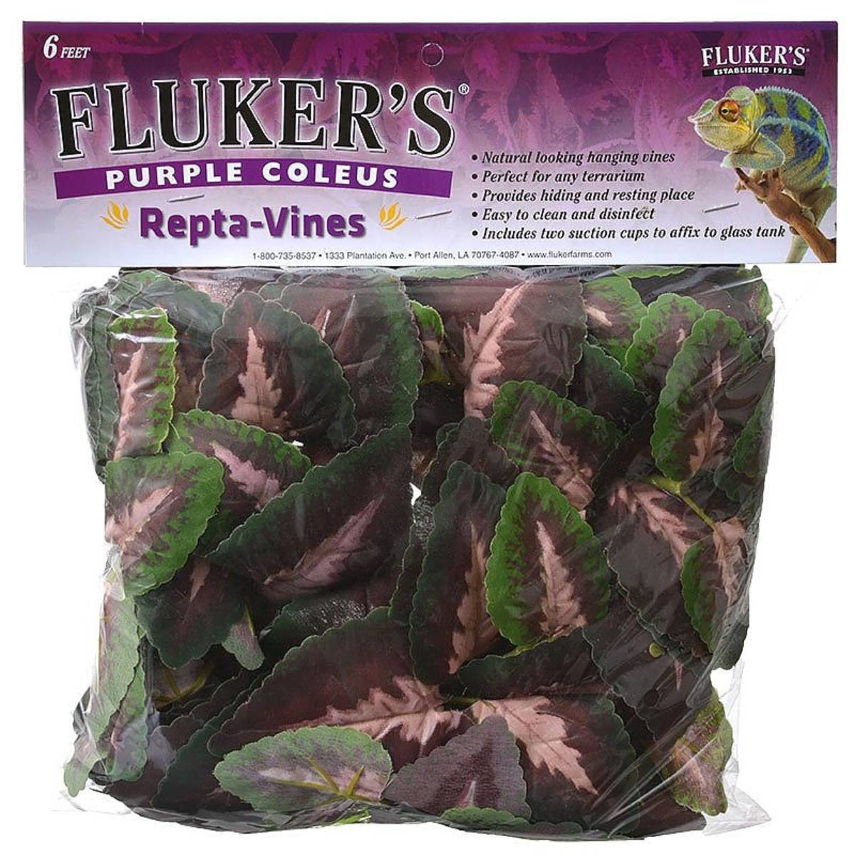 Fluker's Repta-Vines 6' Purple Coleus