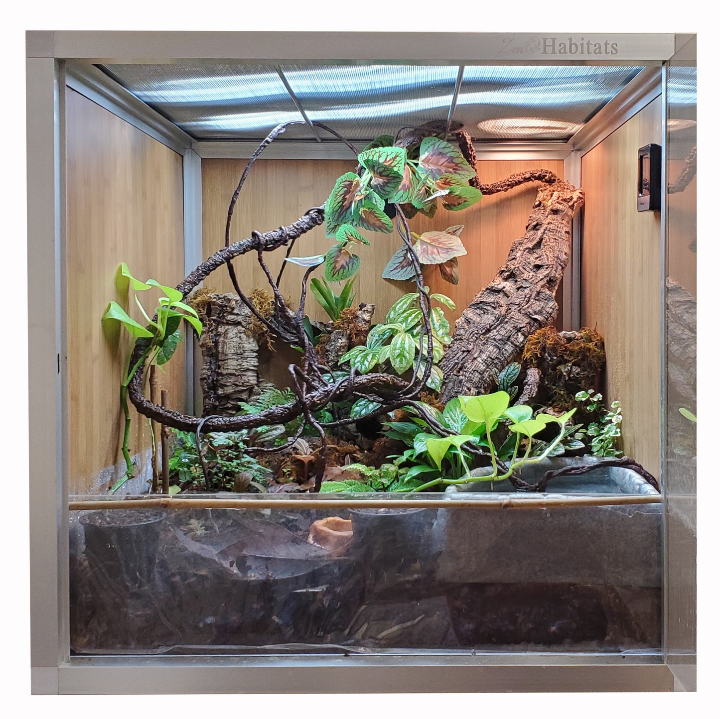 2'x2' Reptile Enclosure Bio-basin