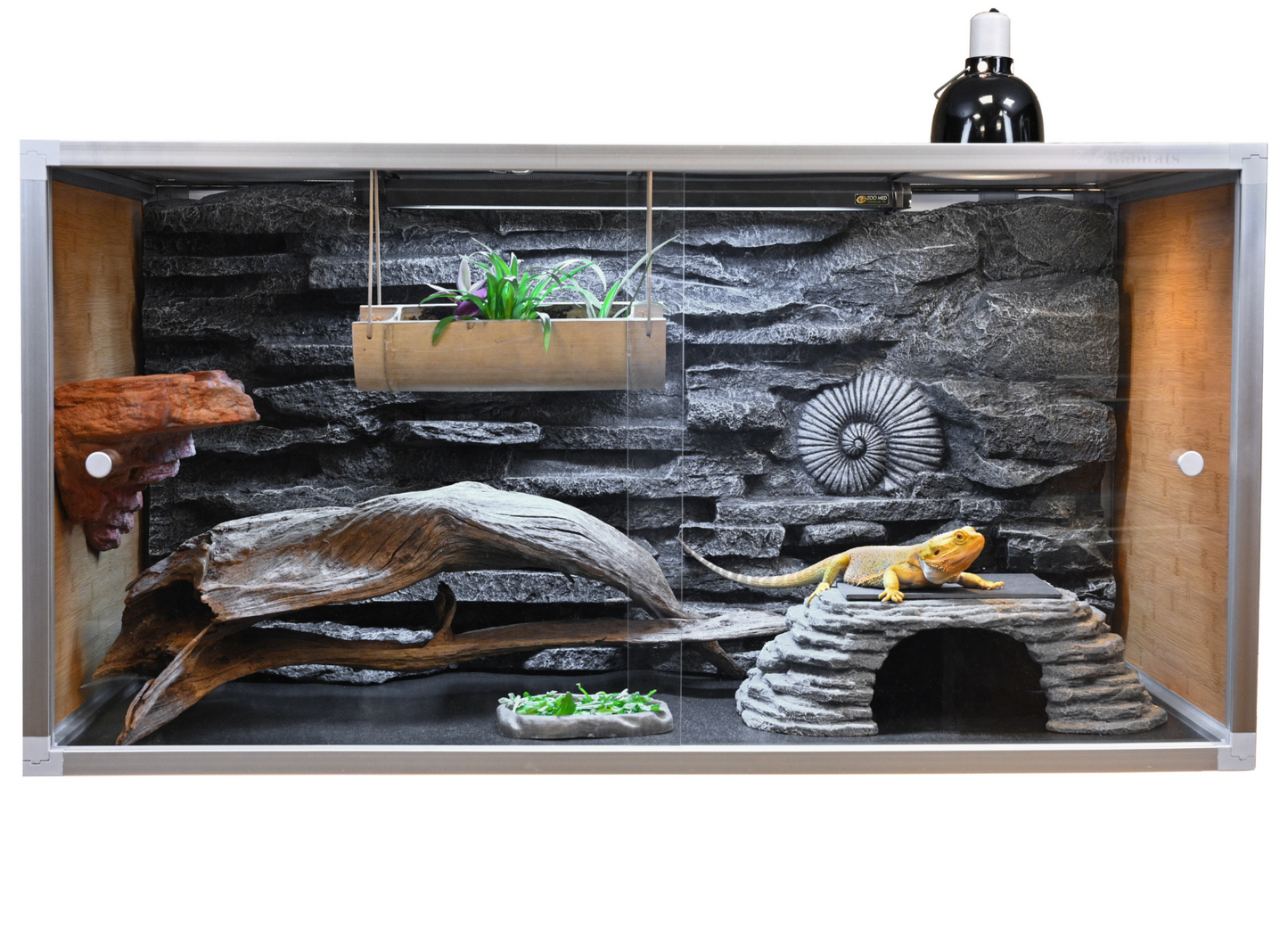 4'x2'x2' Original Wood Bearded Dragon Enclosure
